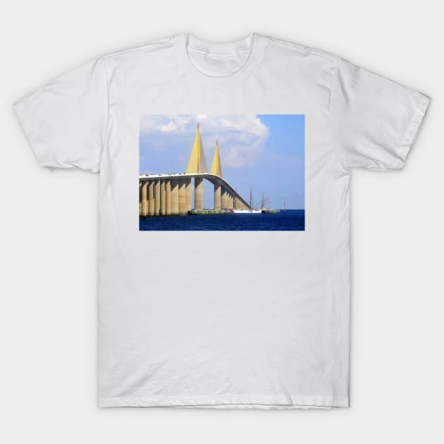 Eagle under the Skyway T-Shirt by dltphoto